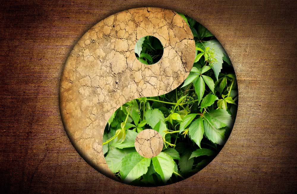 Holistic Alternatives To Western Medicine INTEGRE8T Wellness Holistic Alternatives To Western Medicine INTEGRE8T Wellness