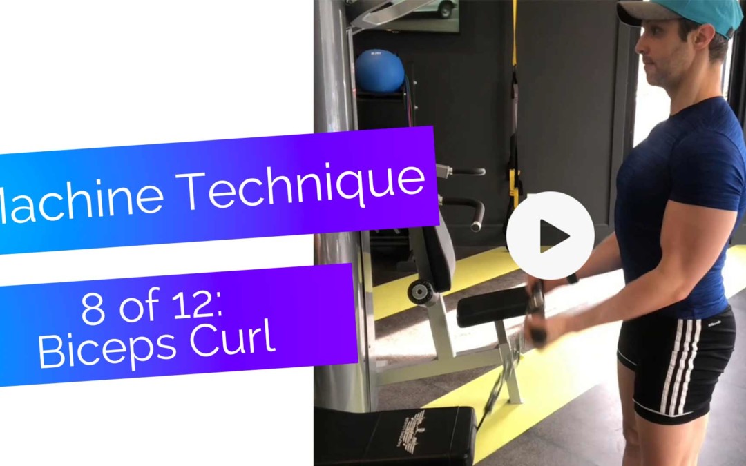 Machine Exercise Technique, 8 of 12: Biceps Curl